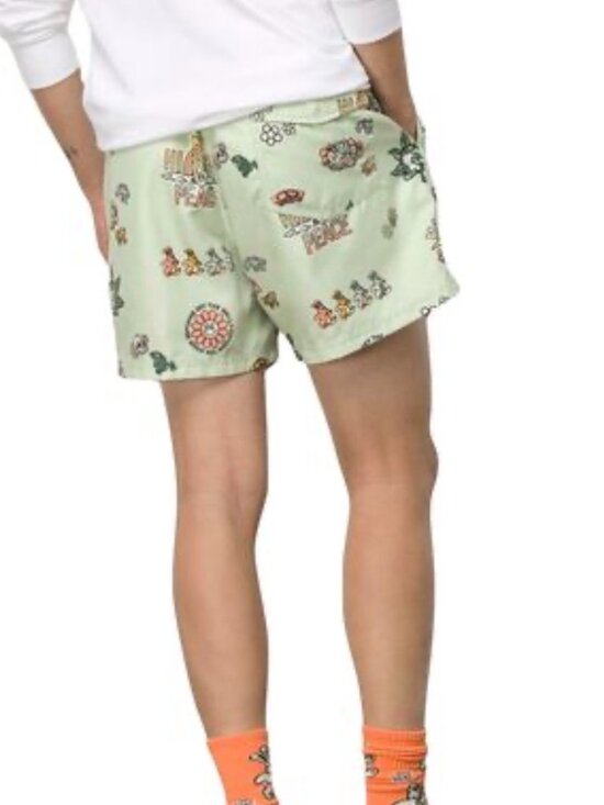 Vans Other - Van's Men's Size S Mixed Volley Swim Tunk Board Shorts Green Hippie Frogs Beach